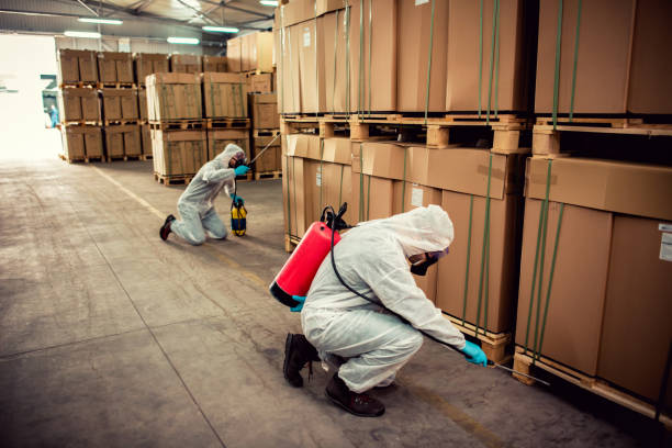 Reliable Ithaca, NY Pest Control Solutions