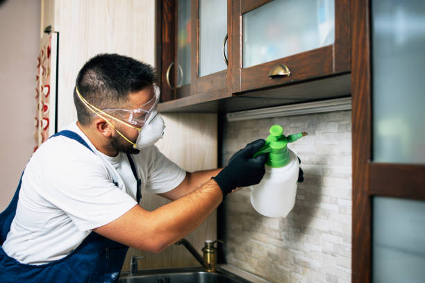 Best Commercial Pest Control Services  in Ithaca, NY