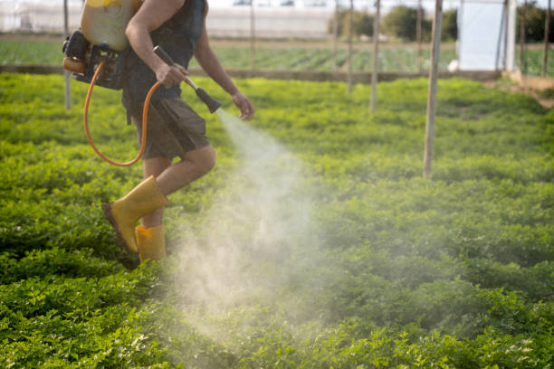 Best Pest Prevention Services  in Ithaca, NY