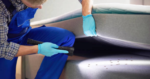 Best Pest Removal Services  in Ithaca, NY
