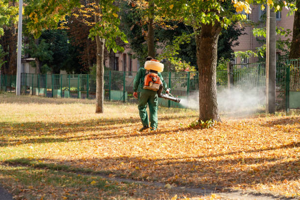 Best Mosquito Control Services  in Ithaca, NY